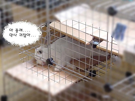 늘어짐