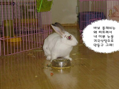 맛있는 야채 믹스
