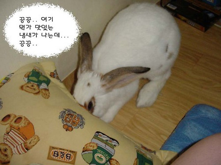 보물 찾기