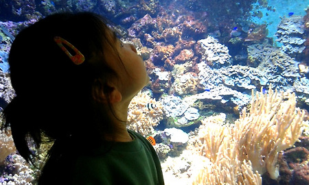 아빠와 데이트 3 of 3