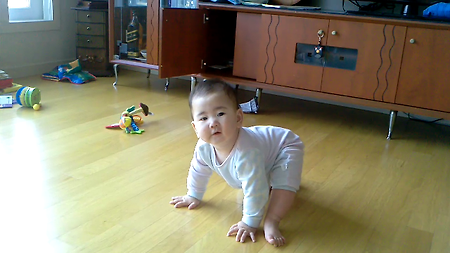 엉금엉금 (생후 8개월)