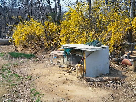 봄이 왔네~ 봄이 왔어~ 독산성 세마대지 다녀옴..