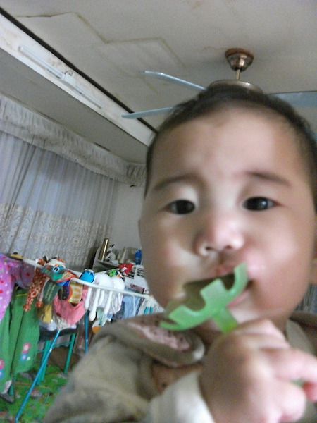 지금 사진찍는 겨?