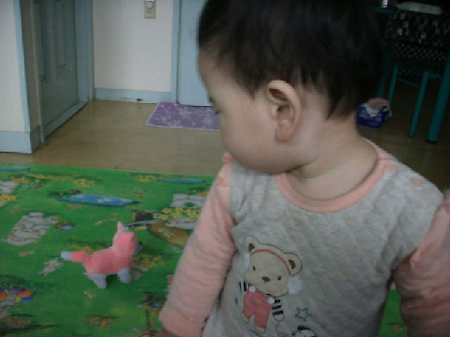 외할아버지가 사준 강아지