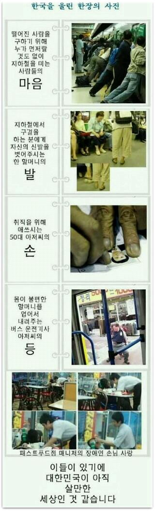한국을 울린 한 장의 사진들