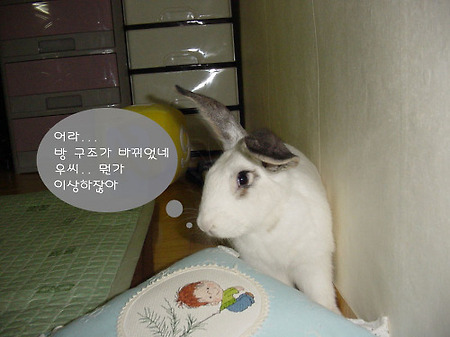 5/23 방 구조를 바꾸다.