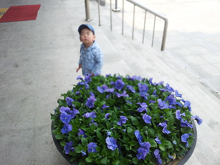 도연이의 주 놀이터, 중랑문화체육관