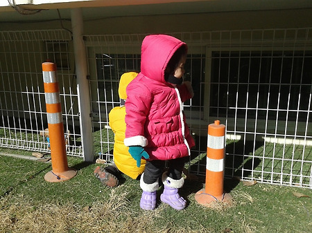 뮤지컬 끝나고 까페+동물병원