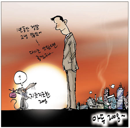 새해에는....
