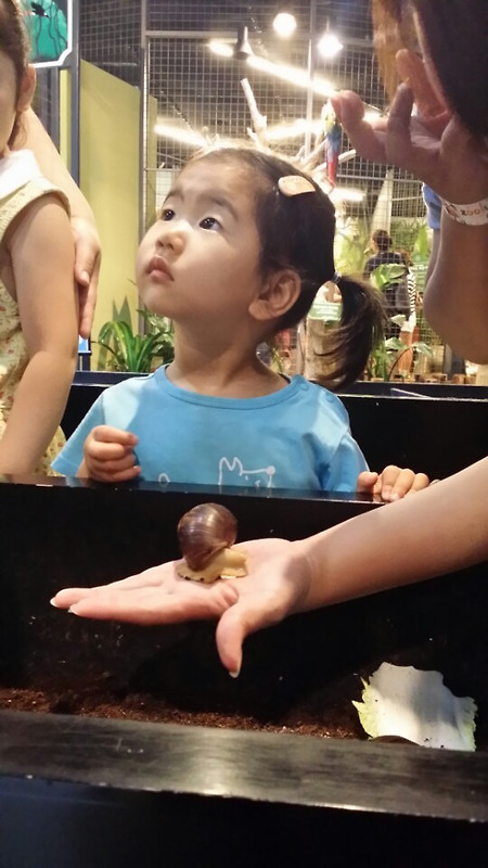 오빠랑 동물체험