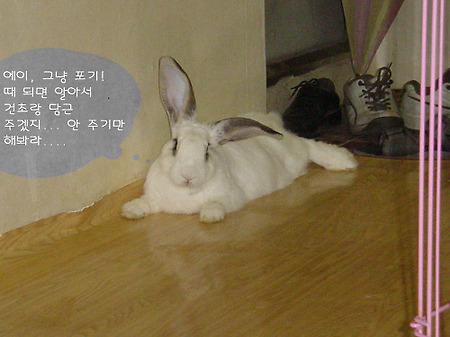 편안한 휴식