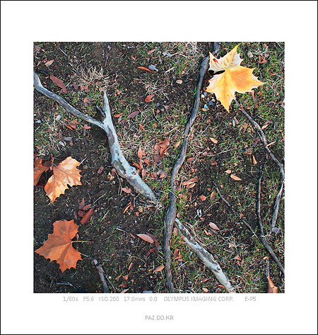 겨울 그 아래로