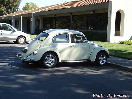 Beetle Vintage