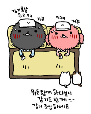 감기 조심하세요