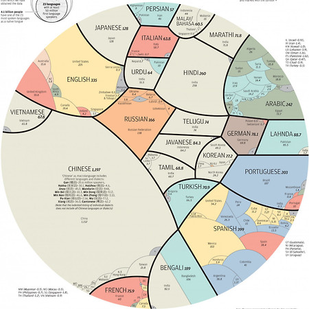 전세계 언어별 구사자 비율