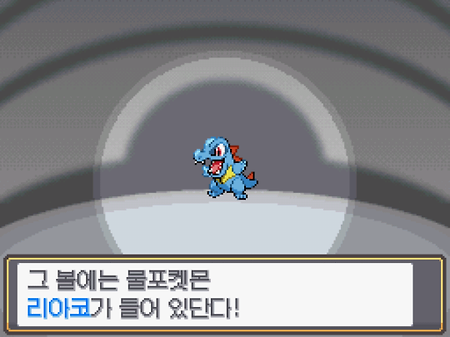 하트골드 플레이 1일차 - 스타팅 ~ 너도밤나무숲