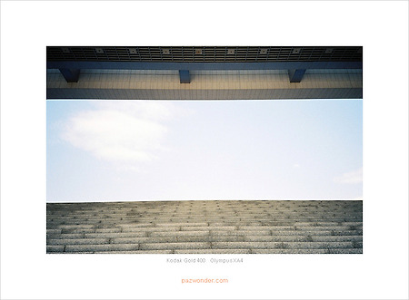 [Kodak Gold 400][Olympus XA] 국립중앙박물관