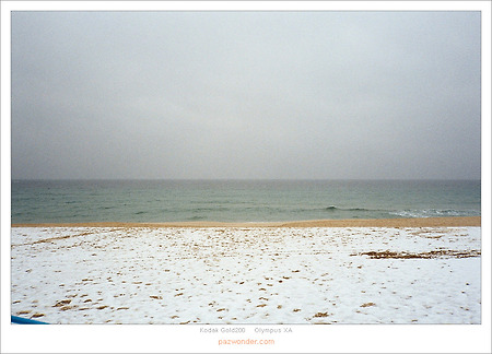 [Kodak Gold200][Olympus XA] 향호해변, 등명해변