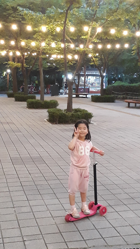 저녁의 폭포공원