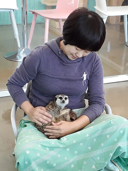 미어캣카페, 대학로