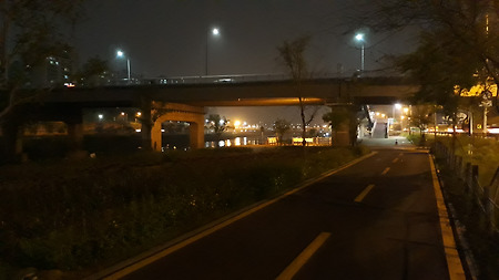 영화보고 따릉이