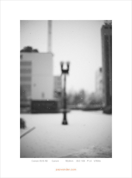 [5D] 눈 오는 주말 아침