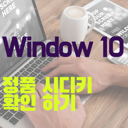 Window 10 정품 시디키 확인하기 feat. SSD 1TB 구매