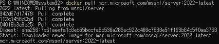 [MSSQL] Windows에서 Docker를 사용해서 SQL Server 설치하기