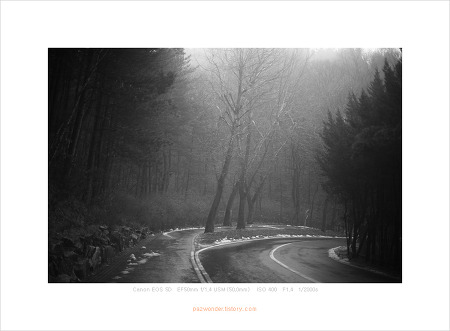 흑백사진 산책 (Canon 5D)