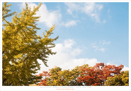 가을 풍경 Part 1 (Canon 5D)