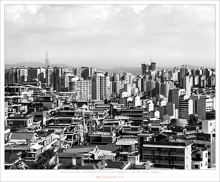 [Canon 5D] 서울 이미지