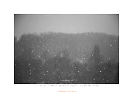 눈 내리는 날 사진 산책. Part.1 (Canon 5D)