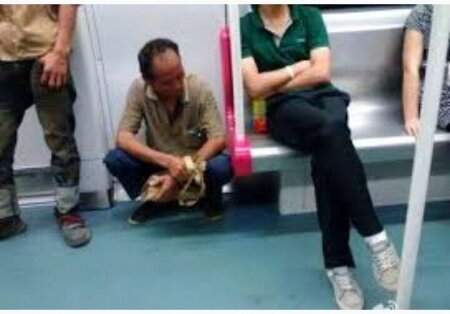중국인끼리 급나누는 중국지하철 상황