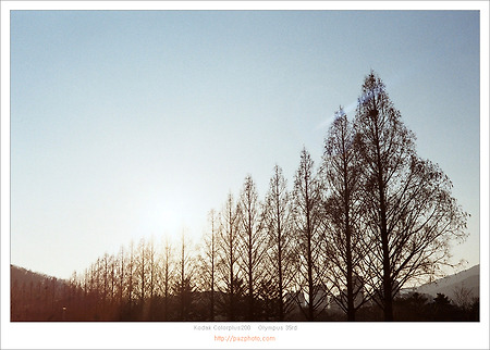 [Kodak Colorplus200] 햇살