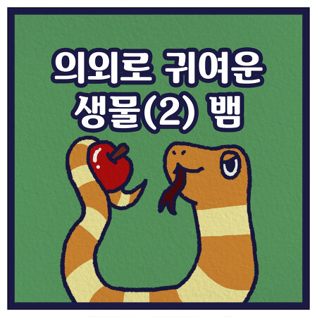 의외로 귀여운 생물(2) 뱀