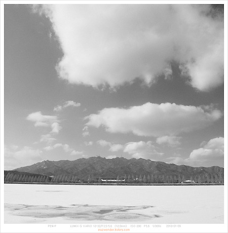 [PEN-F] 올림푸스 pen-f의 흑백사진, 모노크롬 프로파일