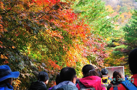 문경새재 가을 단풍 나들이~(2012.10.28)