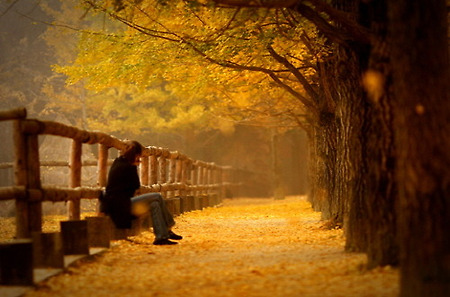 가을의 기도(祈禱) - 김현승