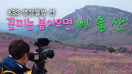 영상앨범 산 - '꽃피는 봄이오면 대구 비슬산'편에 출연하다.