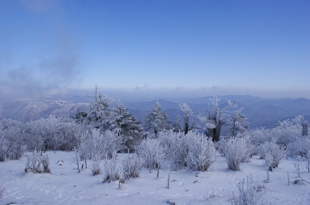 [태백] 순백색의 산. 다양한 모습을 보여주는 겨울산 태백산 #2