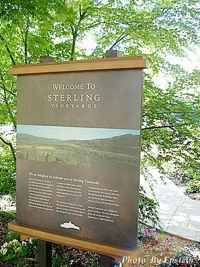 Napa Valley를 다녀오다 (II) - Sterling Winery