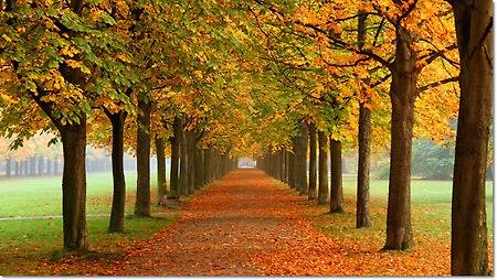 아름다운 가을 풍경 사진 100선 - 2