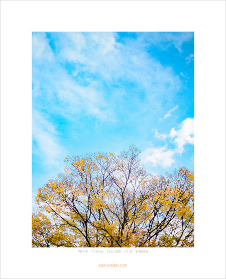 [PEN-F] 가을날 과천대공원