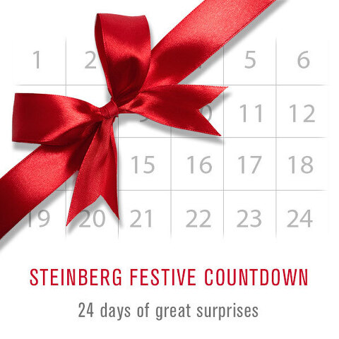 Steinberg / Festive Countdown 2017