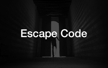 이스케이프 코드 (escape code)