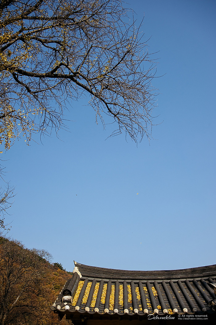 경주 (여기저기~) 마실..