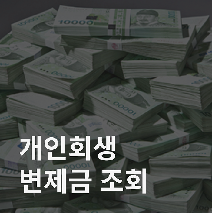 개인회생 변제금 조회