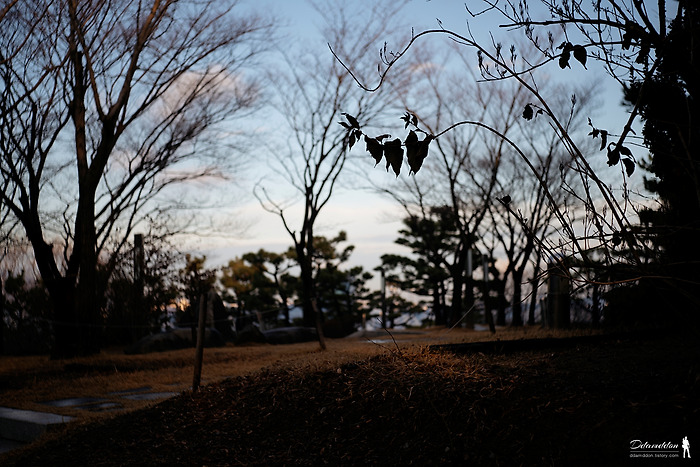 해마다 한 번씩 오는 술독으로의 여행..