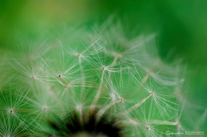 민주공원 마실~