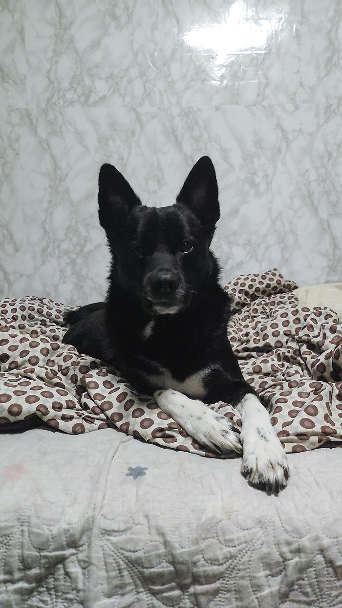 Jack 240305